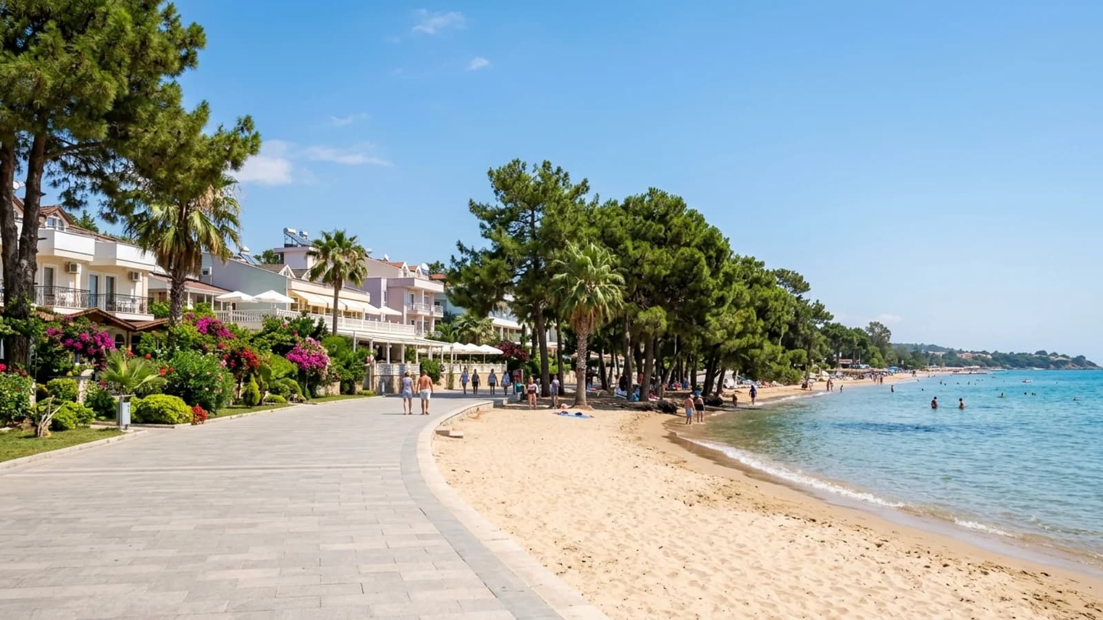 Schaduwrijk zandstrand in İncekum Een fijn wit zandstrand in İncekum wordt beschaduwd door pijnbomen aan een rustige, ondiepe zee.